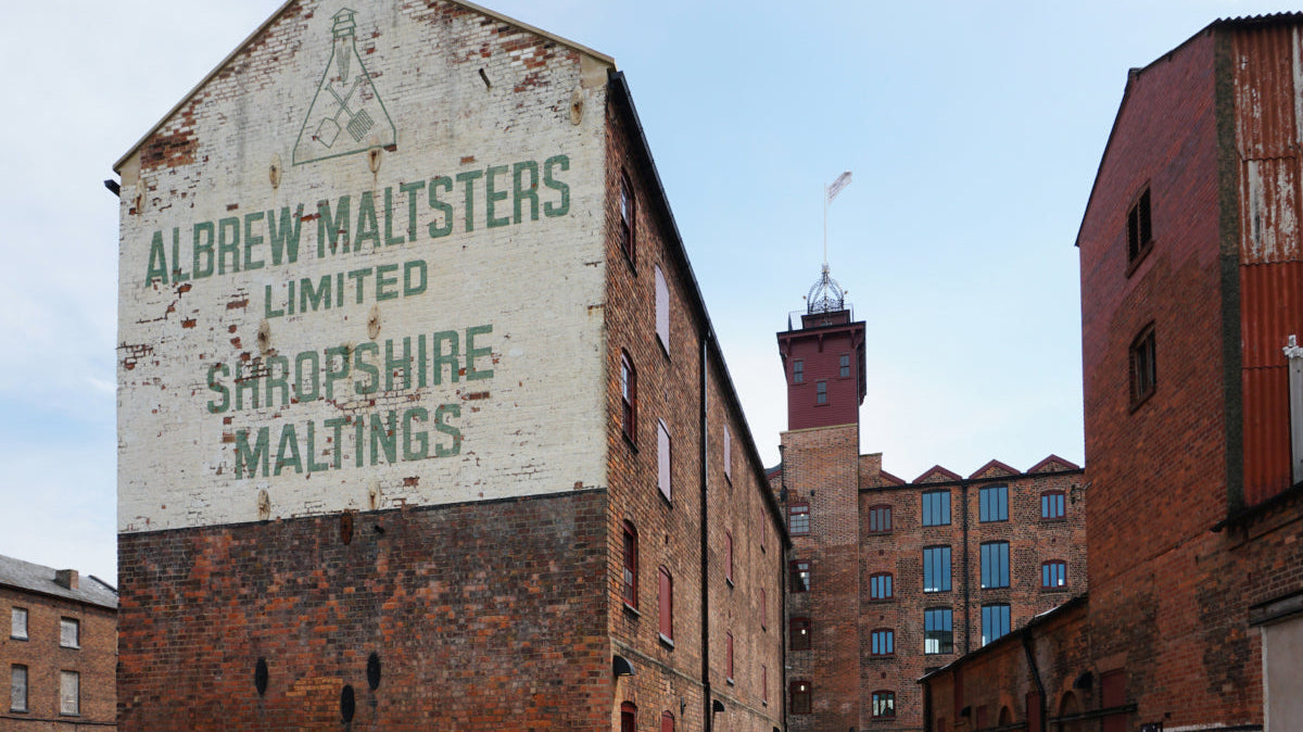 How to remove paint off old brick walls?