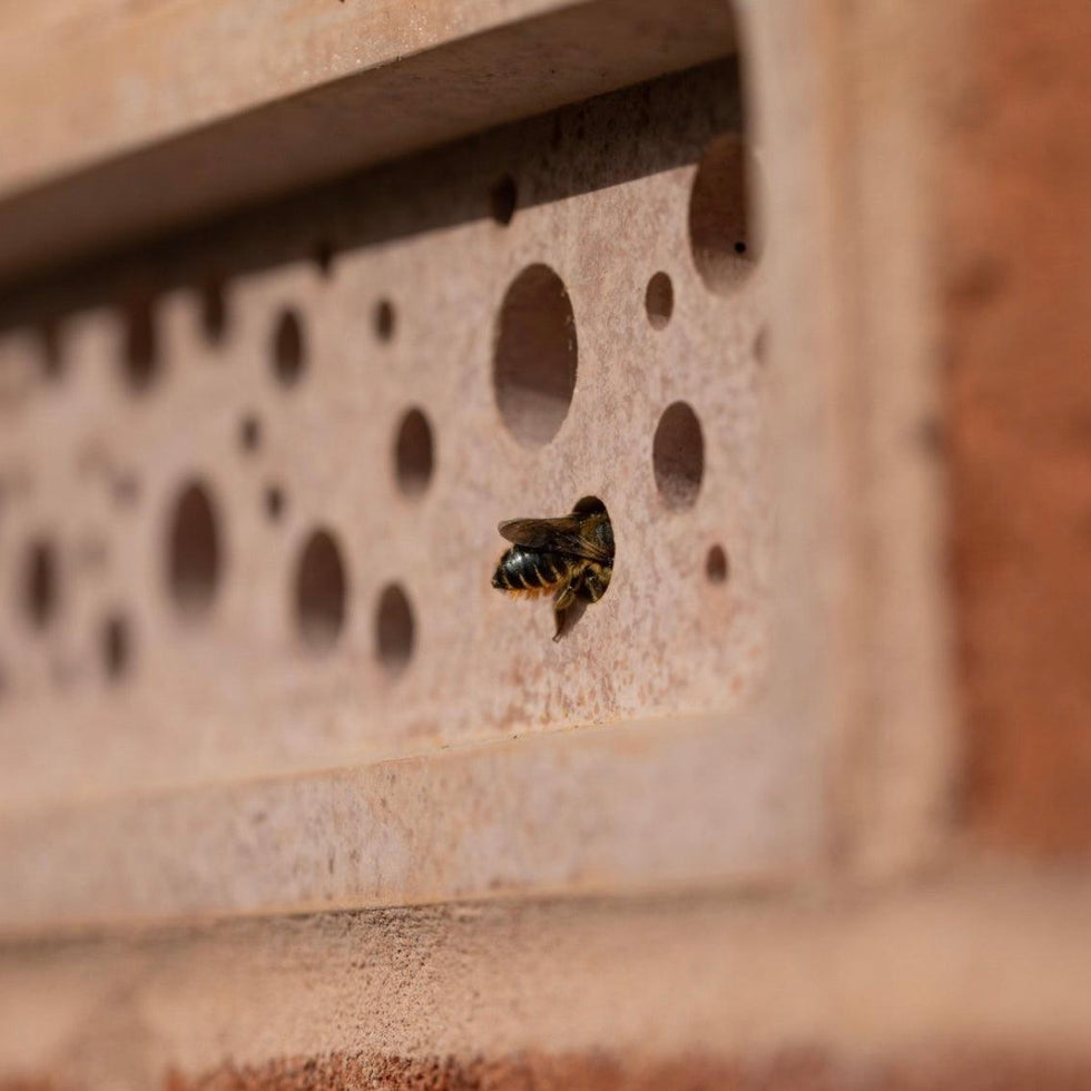 Wildlife Habitat Bricks | Swift, Bat & Bee Bricks | Heritage Brick ...